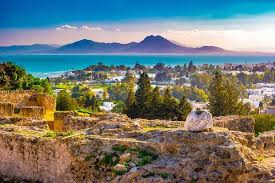 Vrbo.com has been visited by 1m+ users in the past month Half Day Carthage Sidi Bou Said Private Tour From Tunis 2021