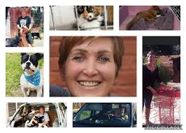 Profile for Andrea's Legacy