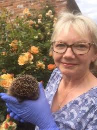 Meet the woman who is doing everything she can to protect hedgehogs