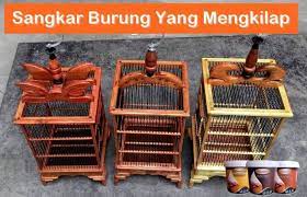 Sangkar Burung Dengan Biovarnisnih Biovarnishwoodstain Biovarnishclearcoat Pintu Kusen Trending Furniture Wooden Sangkar Burung Kandang Burung Sangkar
