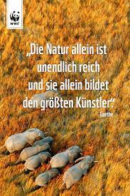 Zitat Zum Sonntag Schone Spruche Zitate Zitate Lebensweisheiten Zitate