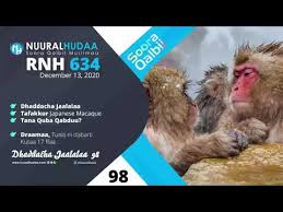Senah merupakan janda kepada rosit, mereka masih saling mencintai. Download Rnh 634 3gp Mp4 Codedwap