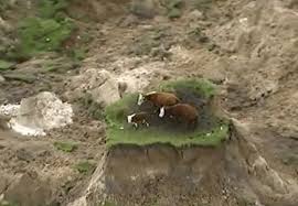  新台幣 ntd 美元 usd 澳幣 aud 加拿大幣 cad 港幣 hkd 英鎊 gbp 瑞士法郎 chf 日圓 jpy 歐元 eur 紐西蘭幣 nzd 新加坡幣 sgd 瑞典克朗 sek 泰銖 thb 人民幣 cny 土耳其里拉 try 越南幣. ç´è¥¿è˜­åœ°éœ‡ ä¸€å®¶ä¸‰é ­ è¢«å›° å­¤å³¶ æ…˜è®Š ç¶²ç´… æ¾³æ´²æ–°èžç¶²