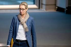 Und weidel hat noch ein anderes problem. Machtkampf In Der Sudwest Afd Alice Weidel Will Afd Landesverband Retten Politik Stuttgarter Zeitung