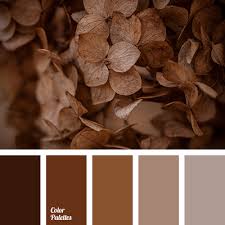 Maybe you would like to learn more about one of these? Warm Shades Of Brown Page 5 Of 16 Color Palette Ideas