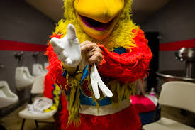 The San Diego Chicken Heads Into a Sunset