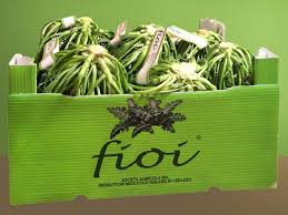 We did not find results for: Il Broccolo Fiolaro Di Creazzo Storia E Curiosita Della Delizia Di Gennaio