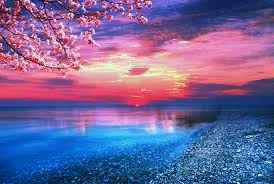 Check spelling or type a new query. Wow What A Sunset Hd Wallpaper Background Image 1920x1290