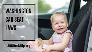 Following this law can save you money and help save the fine for not wearing a seatbelt or appropriate child restraint costs $124. Washington Car Seat Laws What You Need To Know Important To Read