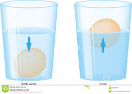 water stock vector. illustration
