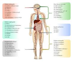 Maybe you would like to learn more about one of these? Diabetic Vascular Disease Effects And Symptoms Various Download Scientific Diagram