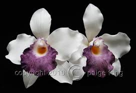 Gumpaste Orchid Cattleya Gum Paste Flowers Edible Flowers Candy Flowers