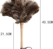 Amazon.com: Plumero Plumero Plumero de Plumas Marrón Negro ...