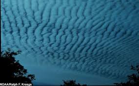 Mammatus sind beutelartige an der unterseite von wolken hängende ausformungen. Ù‡ÙŠØ±ÙˆØ¯ÙŠÙƒÙˆØ³ On Twitter Mammatus Clouds Ø§Ù„Ù…Ø§Ù…Ø§ØªÙˆØ³ Ø£Ùˆ Ø³Ø­Ø§Ø¨Ø© ØµØ¯Ø±ÙŠØ© Ù…ØµØ·Ù„Ø­ ÙÙŠ Ø¹Ù„Ù… Ø§Ù„Ø·Ù‚Ø³ ÙŠØ·Ù„Ù‚ Ø¹Ù„Ù‰ Ø§Ù„Ø´ÙƒÙ„ Ø§Ù„Ø®Ù„ÙˆÙŠ Ù„ØªØ¬Ø¹Ø¯Ø§Øª Ø£Ùˆ Ø±Ø²Ù… ØªØ­Øª Ø³Ø­Ø§Ø¨Ø© Ø£Ø³Ø§Ø³ÙŠØ© Ø£Ø®Ø°Øª Ù‡Ø°Ù‡ Ø§Ù„Ø³Ø­Ø§Ø¨Ø© Ø§Ø³Ù… Ø§Ù„ØµØ¯Ø±ÙŠØ© Ù†Ø¸Ø±Ø§ Ù„Ø´ÙƒÙ„Ù‡Ø§ Ø§Ù„Ù…Ù…ÙŠØ² ÙˆØ§Ù„Ø°ÙŠ