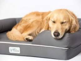 Sleep easy orthopaedic memory foam dog bed machine washable. 10 Best Dog Beds Uk 2021 Top Rated Beds For All Breeds And Sizes