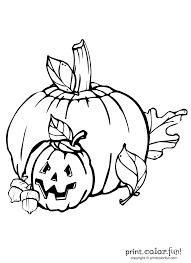 Pumpkin And Jack O Lantern Coloring Page Print Color Fun Fall Coloring Pages Pumpkin Coloring Pages Halloween Coloring Pages