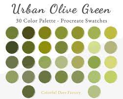 Color Swatches Procreate Palette