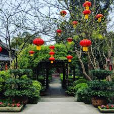 Maybe you would like to learn more about one of these? Hanging Red Chinese Lanterns Near Trees And Tunnel During Day Photo Free China Image On Unsplash