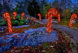 Cute Candy Cane Trail At Rock City Http Seerockcity Com Pages Enchanted Garden Of Lights Garden Of Lights Rock Garden Enchanted Garden