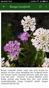 We did not find results for: Kumpulan Nama Bunga Hias For Android Apk Download