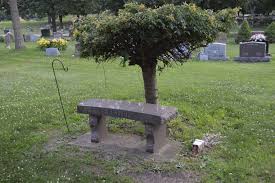 Donna R. Nieman Flint (1938-2004)