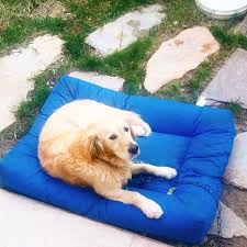 Pin On Dog Beds Dog Cushions Kopek Minderleri Kopek Yataklari