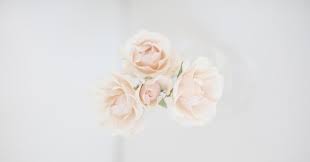 Let your leaves soak in this for 3 to 4 weeks depending on the thickness accumulated. Complete Guide To Flowers And Foliage That Last Without Water