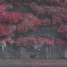 Sleep Token - Even In Arcadia