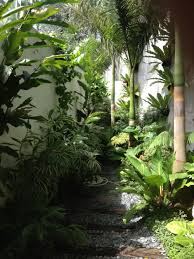 Tropical Look In The Play Area Wedged Between Alfresco And Fence Outdoor Living Design Realpalmtr Tropical Landscaping Tropical Garden Design Jungle Gardens