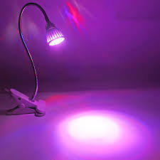 5w Red And Blue Led Lights With Clips Led Plant Lights Plant Growth Lights Indoor Plant Garden Greenhouse Led Night Lights Aliexpress