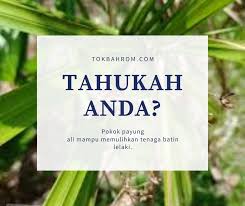 Evo7 khusus untuk kencing manis, darah tinggi dan tenaga batin lelaki kenapa produk evo7 sangat disyorkan? Raja Herba Terbaik Untuk Lelaki Home Facebook