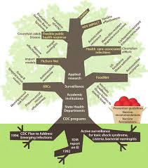 These drugs inhibit protein synthesis in. 2