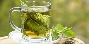 Native Plant Tea Party