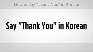 If a proper spaniard doesn't curse well in his own language, what language does he curse well in? How To Say Thank You Learn Korean Youtube