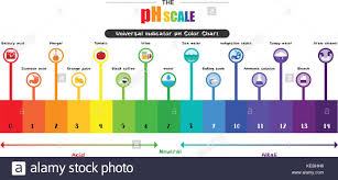 the ph scale universal indicator ph color chart diagram