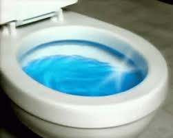 Repairing A Leaking Toilet How To Repair A Toilet Flushking