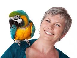 Judy Tennant of Parrot Partners Canada