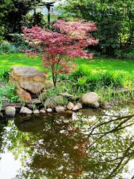 Der Ahorn Ist Nicht Nur Im Indian Summer Ein Prachtexemplar Indian Summer Vorgarten Gartenpflanzen