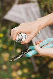 Den Garten In Nur 8 Schritten Winterfest Machen Garten Fraulein Der Garten Blog Winterfest Machen Winterfest Garten