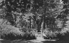 The Hay Family Landscape Legacy: Incidental Interactions of Man and Nature