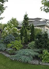 Beautiful Display Of Landscaping With Evergreens This Is A Berm Built For Privacy It Serv Evergreen Landscape Small Front Yard Landscaping Fence Landscaping