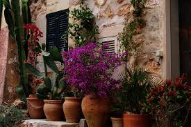 We did not find results for: Large Outdoor Urns And Decorative Planters Dengarden
