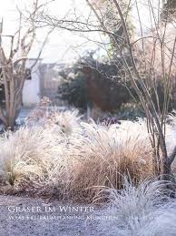 Ornamental Grasses Graser Im Winter Staudenbeet Mir Grasern Im Winter Pflegeleichter Garten Pflegeleichter Garten Ziergras Cottage Garten