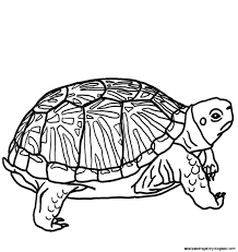 We did not find results for: Turtle Clipart Black And White Wallpapers Gallery Cliparting Com