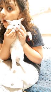 facebookreelsviral #facebookviral #NewsUpdate #delivery #StarsEverywhere  #facebook #FacebookPage Saima Yasmeen Pakistani cousin Farhan Butt Adv  Navid Malik Strong Uzma Hd