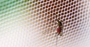 For property owners who are bugged, plagued, and disgusted with pests in odessa, tx, a solution is right around the corner. Boydstun Mosquito Control Midland Odessa Tx