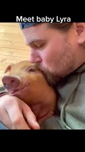 Dan Mckernan Barn San