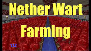 One nether wart costs 10 coins in the alchemist's shop found at the hub, and 1 nether wart sells for 3 coins. How To Grow Nether Wart Farming Minecraft 1 7 X Youtube