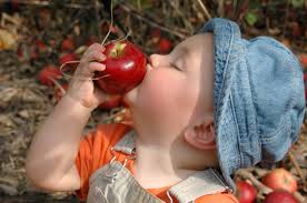 Profile for Blue Kangaroo Studio