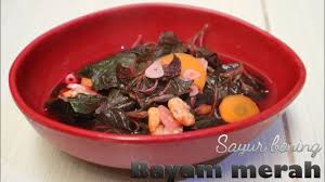 Tumis bayam · panaskan minyak zaitun, lalu tumis bawang putih selama satu menit. Cara Masak Sayur Bening Bayam Merah Untuk Ibu Hamil Dan Balita Youtube